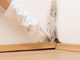  Ontario, CA Mold Removal & Remediation Pros